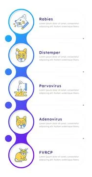 Key pet immunization types infographic 5 steps Stock Illustration