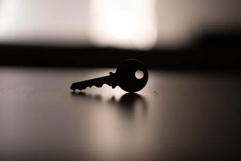 Key Stock Photos