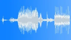 Key Remove From Door Sound Effect