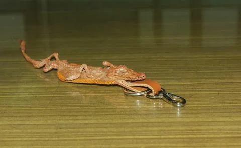 Key ring made of crocodile Stock Photos