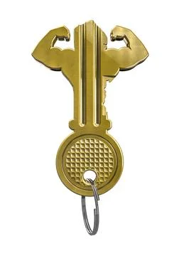 Key to success Stock-Illustration