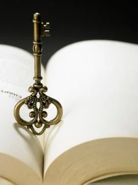 Key of success Stock Photos
