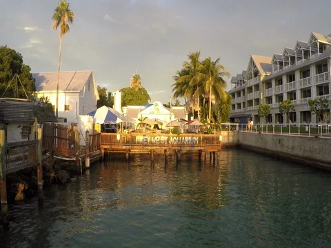 Key West Aquarium Sunset at Mallory Square Key West The Florida Keys Stock Footage 80469846