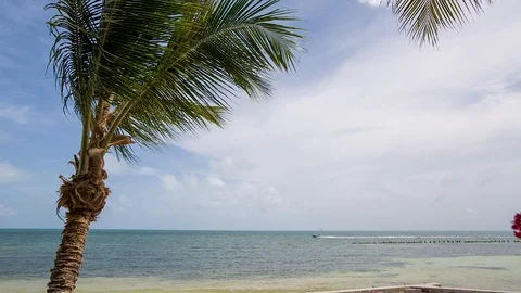 Key West Beach Slider Stock Footage 94591615