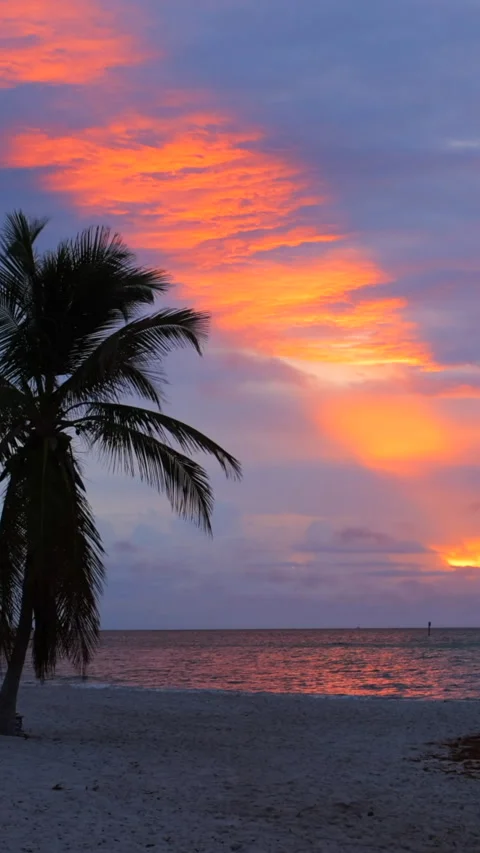 Key West beach vertical video Stock Footage 293155115