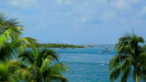 Key West Fl Tilt Shift Time Lapse Stock Footage 41692084