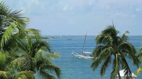Key West Florida Ocean View Stock Footage 42204309
