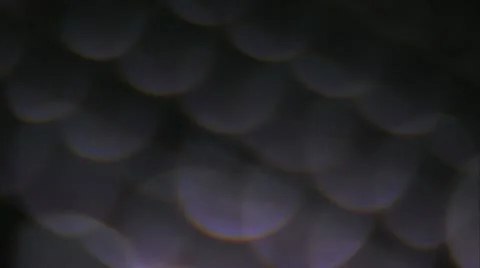 KEYBOARD 動画素材 10579745