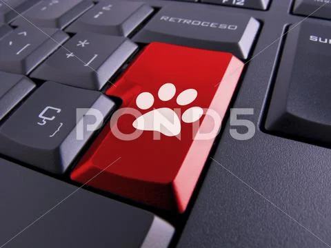 Keyboard Stock Illustration