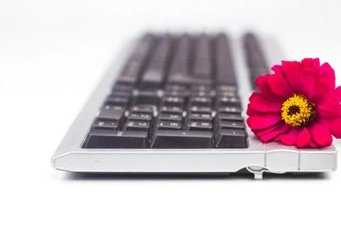Keyboard isolated on white background Stock Photos