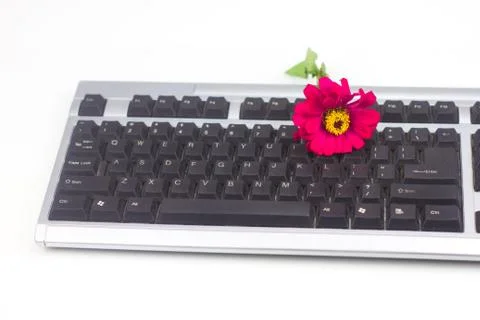 Keyboard isolated on white background Stock Photos