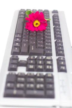 Keyboard isolated on white background Stock Photos