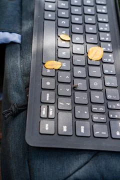 Keyboard Stock Photos