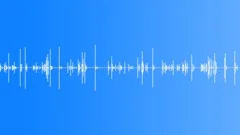 Keyboard typingSound Effect