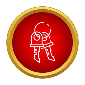 Keyring with two keys opening access icon Stock Illustration