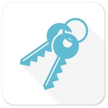 Keys blue flat icon Stock Illustration