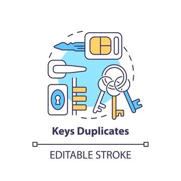 Keys duplicates concept icon Stock Illustration