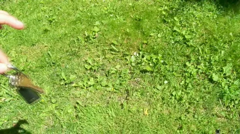 Keys Stock Footage 458442