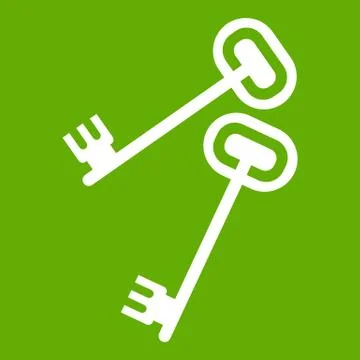 Keys icon green Stock Illustration