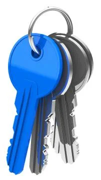 The keys Stock Illustration