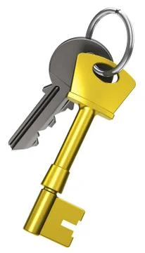 The keys Stock Illustration