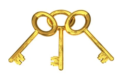 Keys isolated on the  white background Illustrazione stock