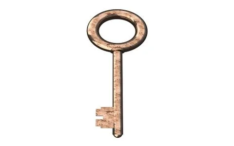 Keys isolated on the  white background Stock Illustration