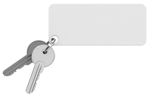 Keys with keychain Stock Illustration
