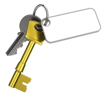 Keys with keychain Stock Illustration