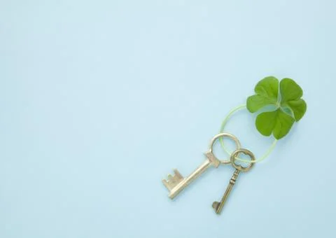 Keys with leaf key chain (Ecology) Stock Photos