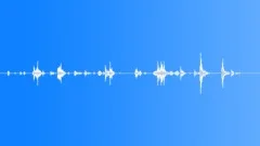 Keys Unlocking Metal Door LockSound Effect
