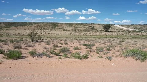 Kgalagadi Drive Vídeos de archivo 132829948