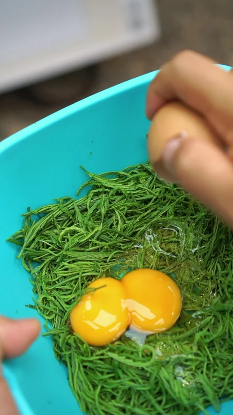 Khai Thod Cha Om, Thai Acacia pennata omelet. Stock Footage 337463750