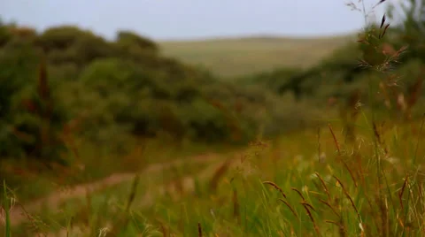 Khakassia chest Stock Footage 30608413