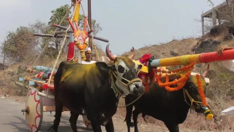 Khandoba Bhandara Stock Footage 208443058