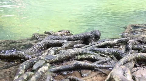 Khao Cha Mao Waterfall Stock Footage 68415622