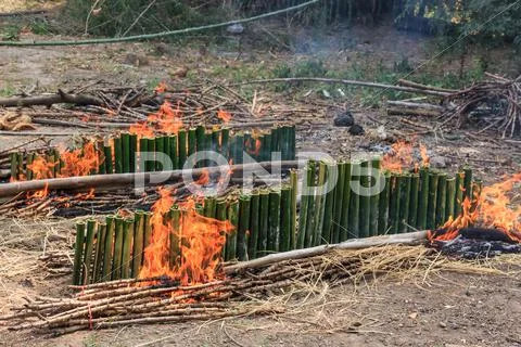 Khaolam Thai Dessert, Glutinous Rice Roasted in a Bamboo Joints, Sticky Rice Stock Photos