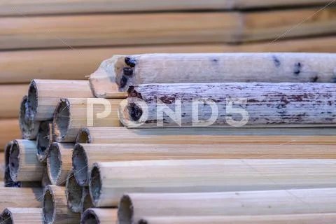 Khaolam thai dessert, Glutinous rice roasted in bamboo pieces, sticky rice so Stock Photos