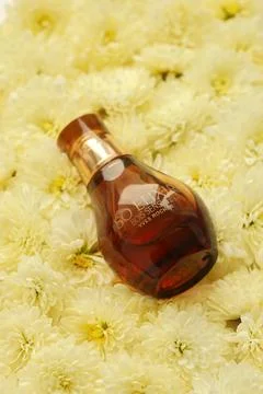 KHARKIV, UKRAINE - JANUARY 2, 2021 Bottle of So Elixir Bois Sensuel perfume by Stock Photos