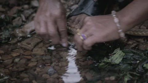 Khasi Tribe Hands Washing Foraged Forest Caterpillars in Stream on Pebbles 動画素材 346762323