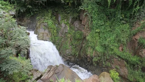 Khlong Wang Chao National Park Stock Footage 101050853