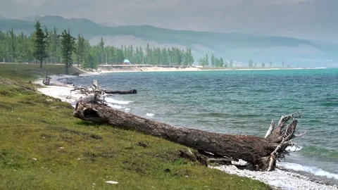 Khovsgol Lake in Mongolia surrounded by pine forest - Hubsugul and Blue Water Video stock 339826706
