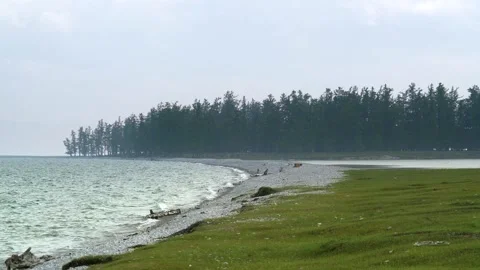 Khovsgol Lake in Mongolia surrounded by pine forest - Huvsgul and Conifer Shore Stock Footage 339826734