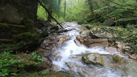 Khrustalny waterfall in forest of Krasnaya Polyana, Sochi, Russia. Stock Footage 320851002