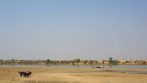 Khuzestan Stock Footage 294913040