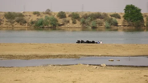 Khuzestan Stock Footage 294913981