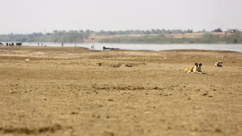 Khuzestan Stock Footage 294914897