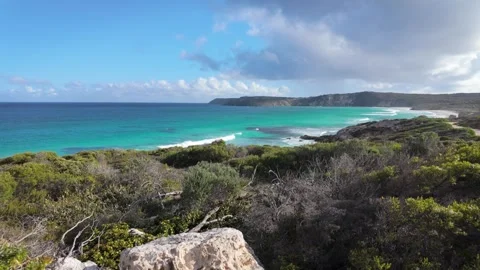 KI Ocean Video stock 292715194