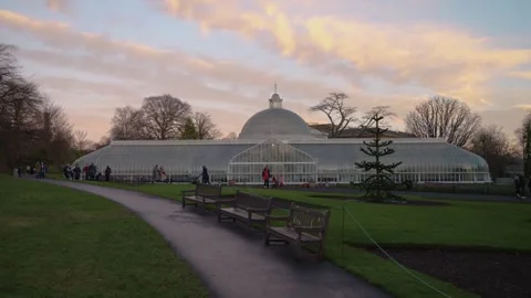 Kibble Palace at Dusk with Silhouetted Trees - Glasgow Botanic Gardens Stock Footage 263490683