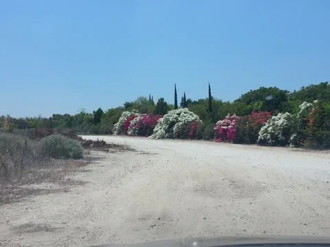 Kibbutz Einat (1) Stock Photos